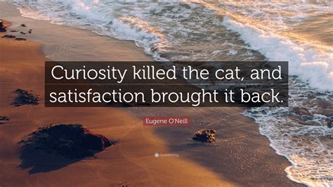 The saying 'Curiosity killed the cat' .